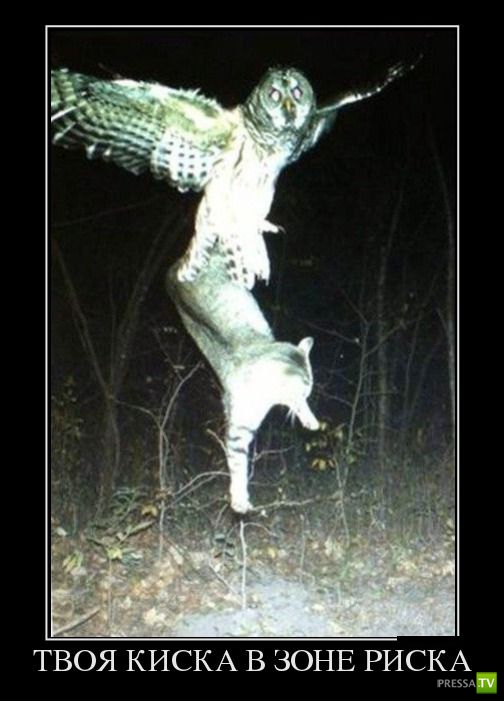 ������������ �� ������ 2 (30 ����)