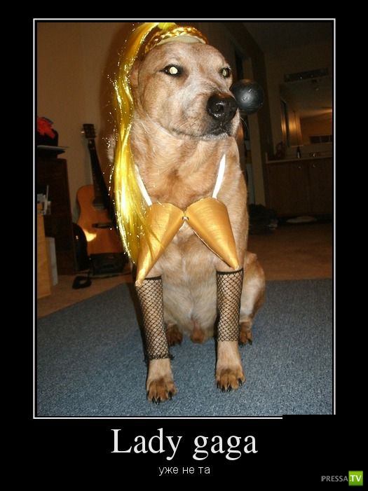 ������������ �� ������ 2 (30 ����)