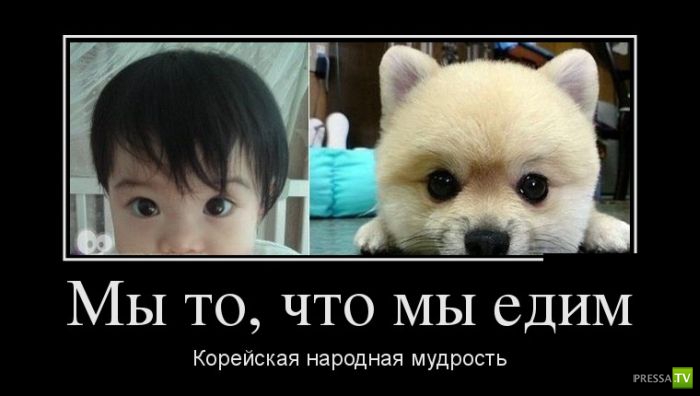 ������������ �� ������ 2 (30 ����)