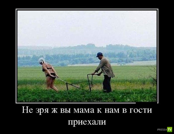 ������������ �� ������ 2 (30 ����)