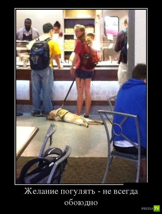 ������������ �� ������ 2 (30 ����)