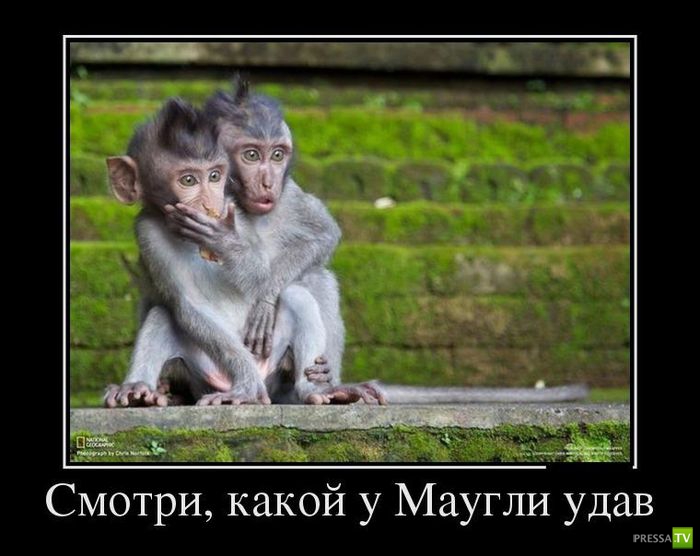 ������������ �� ������ 5 (30 ����)