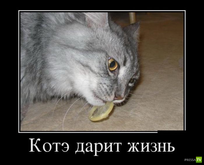 ������������ �� ������ 5 (30 ����)