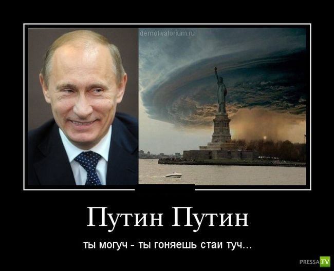 ������������ �� ������ 6 (31 ����)