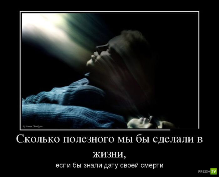 ������������ �� ������ 6 (31 ����)