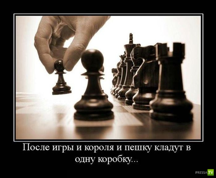 ������������ �� ������ 6 (31 ����)