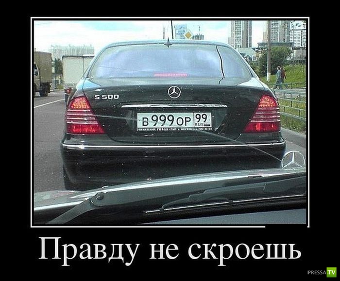 ������������ �� ������ 6 (31 ����)