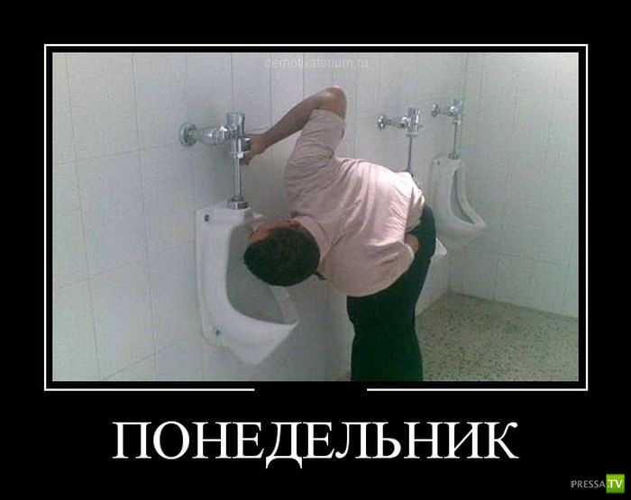 ������������ �� ������ 6 (31 ����)