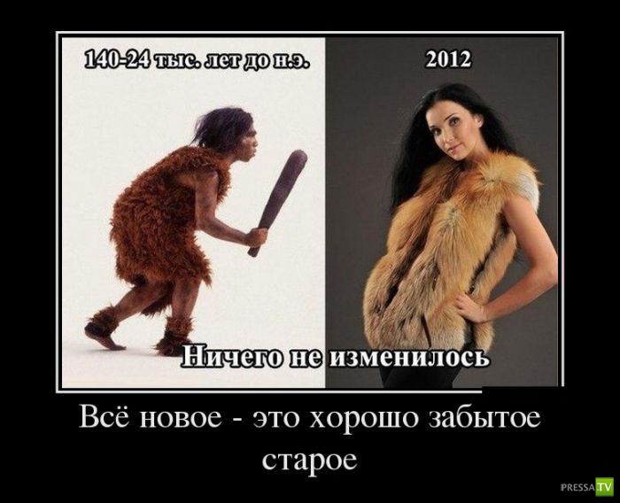 ������������ �� ������ 6 (31 ����)