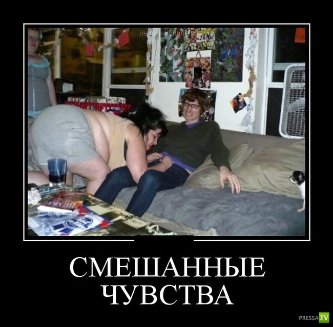 ������������ �� ������ 6 (31 ����)