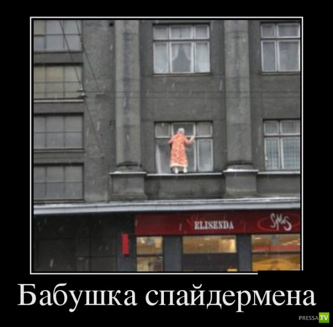 ������������ �� ������ 6 (31 ����)