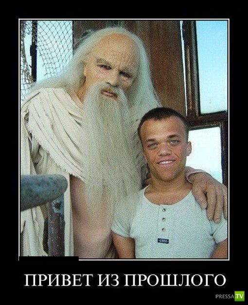 ������������ �� ������ 6 (31 ����)