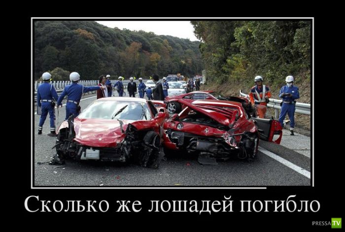 ������������ �� ������ 6 (31 ����)