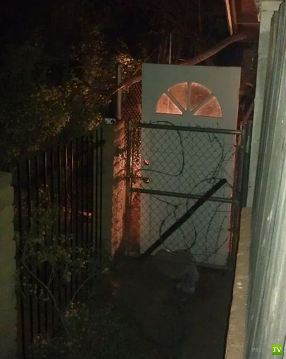 ����������� �� �������� �������� (47 ����)