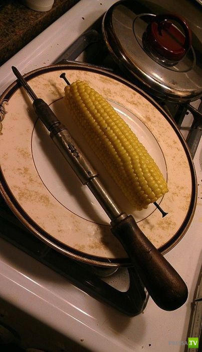 ����������� �� �������� �������� (47 ����)