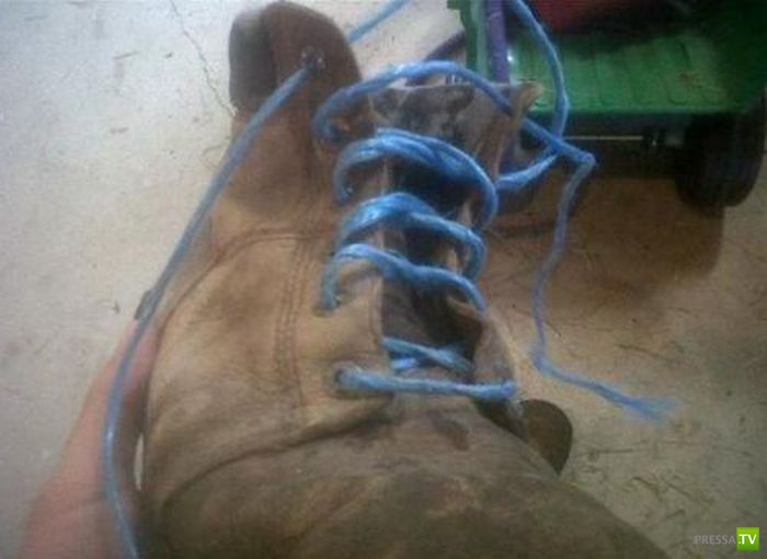 ����������� �� �������� �������� (47 ����)