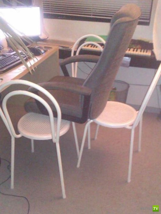 ����������� �� �������� �������� (47 ����)