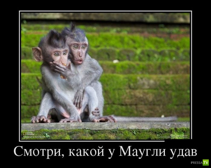 ������������ �� ������ 7 (30 ����)