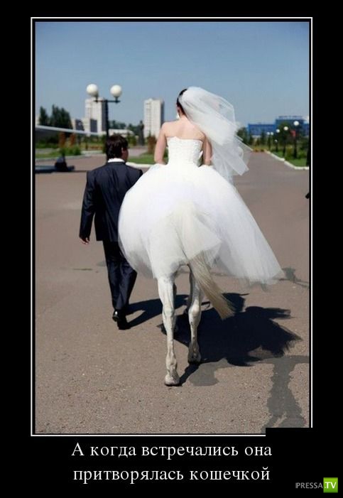 ������������ �� ������ 7 (30 ����)