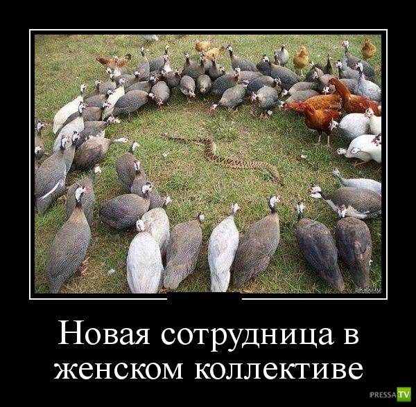 ������������ �� ������ 7 (30 ����)