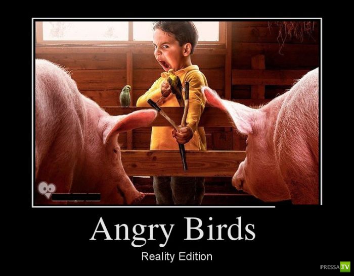 ������������ �� ������ 7 (30 ����)