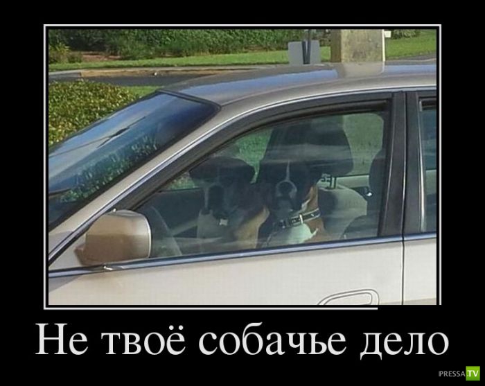 ������������ �� ������ 7 (30 ����)