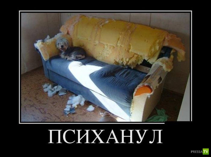 ������������ �� ������ 8 (30 ����)