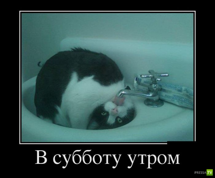 ������������ �� ������ 8 (30 ����)