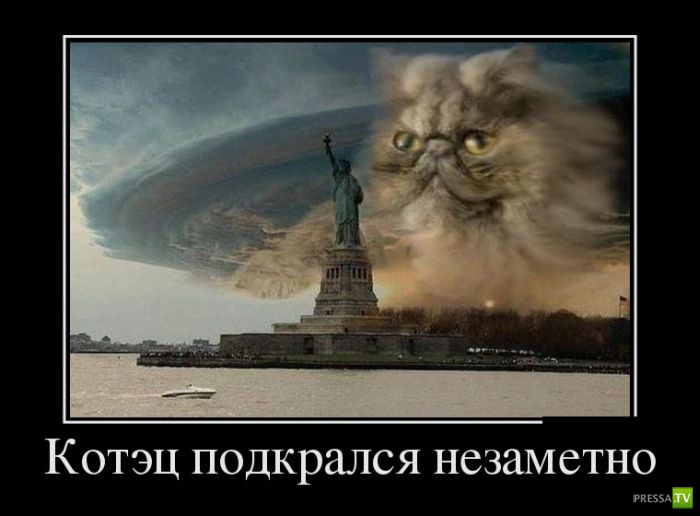 ������������ �� ������ 9 (31 ����)