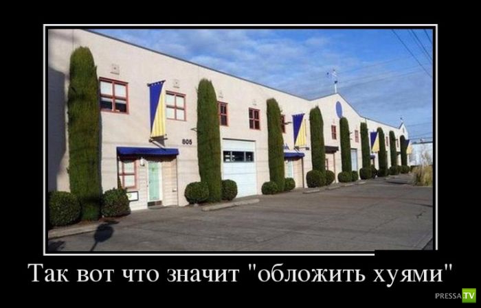 ������������ �� ������ 9 (31 ����)