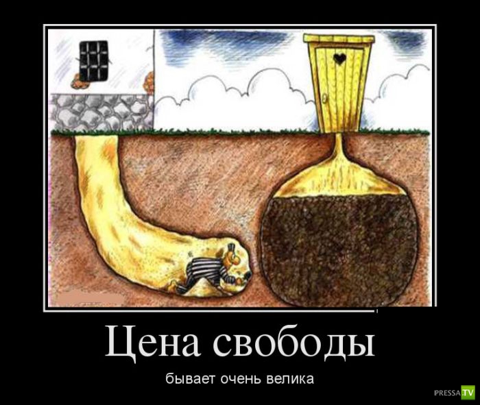 ������������ �� ������ 9 (31 ����)