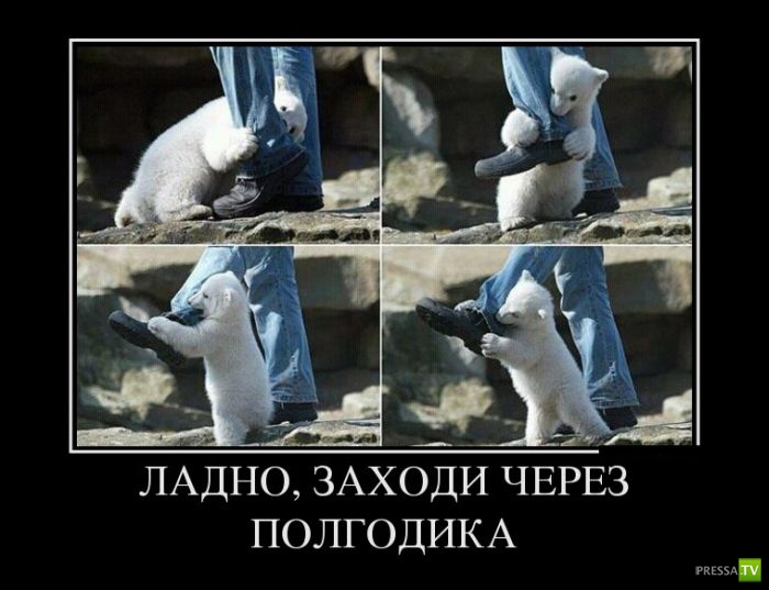 ������������ �� ������ 9 (31 ����)