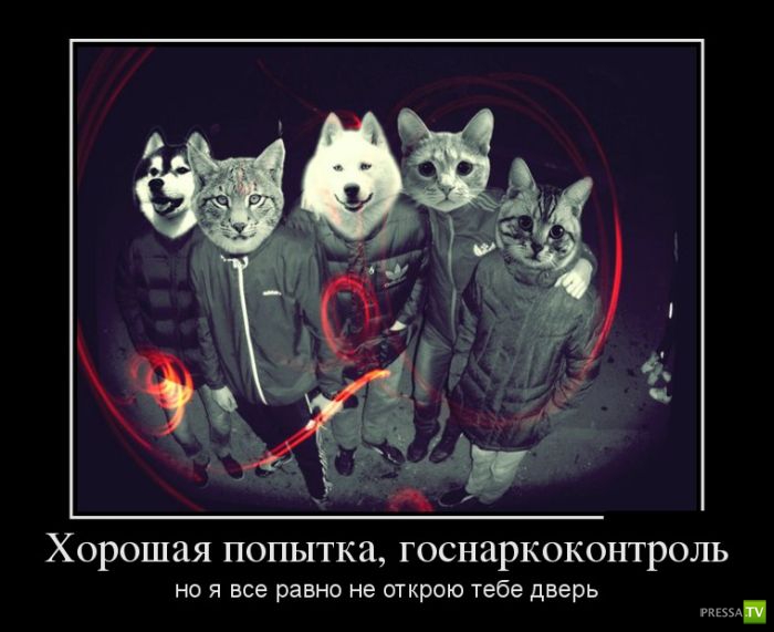 ������������ �� ������ 12 (30 ����)