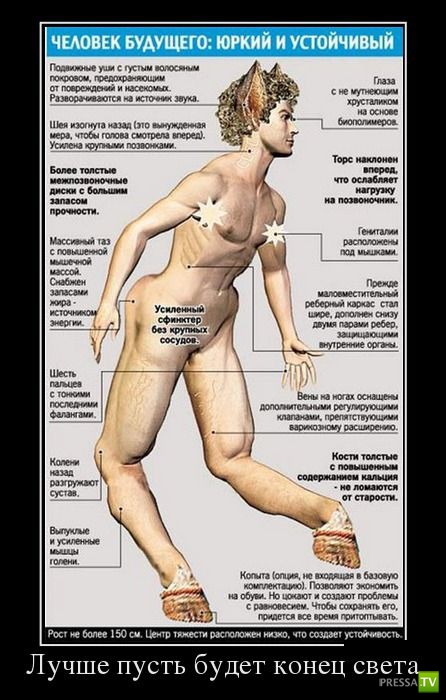 ������������ �� ������ 12 (30 ����)