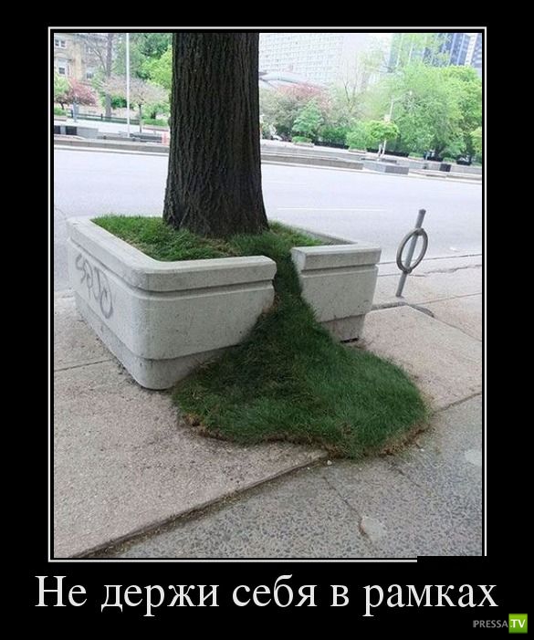 ������������ �� ������ 12 (30 ����)