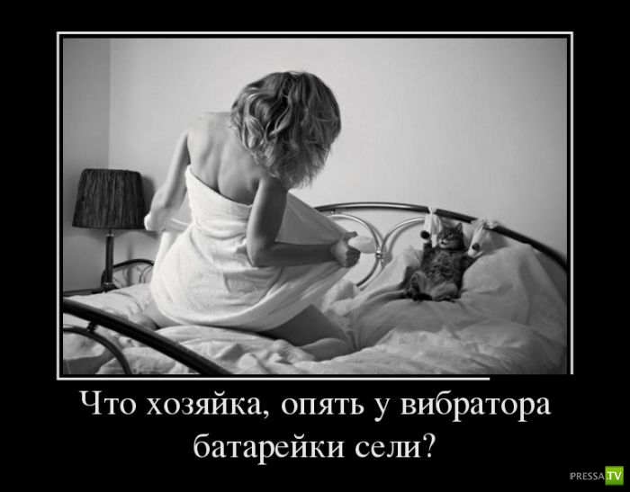 ������������ �� ������ 12 (30 ����)