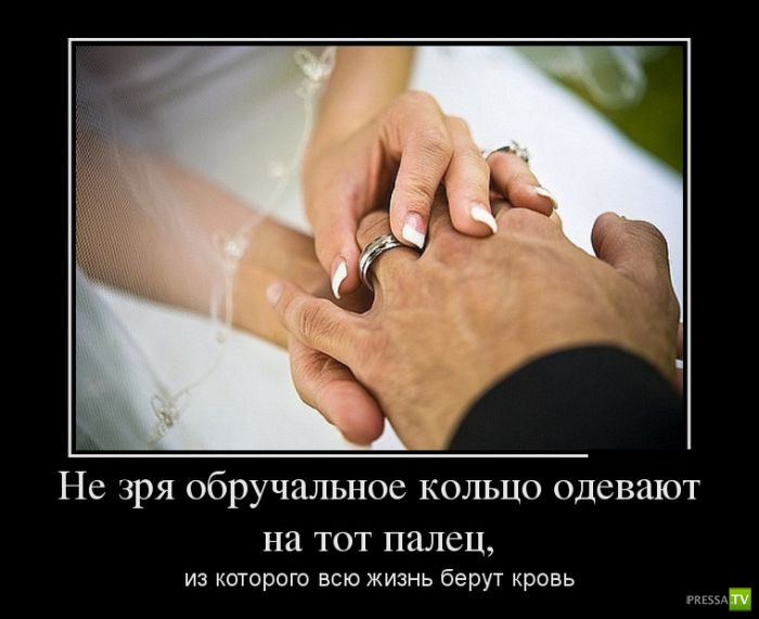 ������������ �� ������ 12 (30 ����)