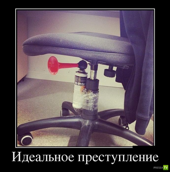 ������������ �� ������ 12 (30 ����)