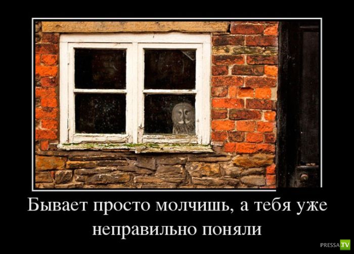 ������������ �� ������ 13 (30 ����)