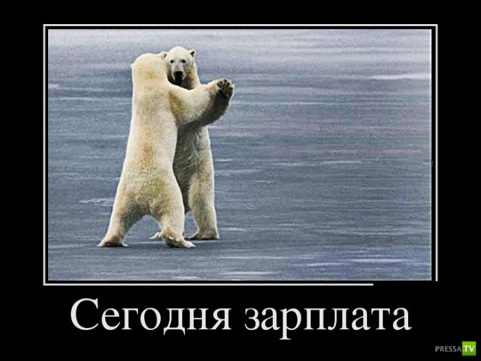 ������������ �� ������ 13 (30 ����)