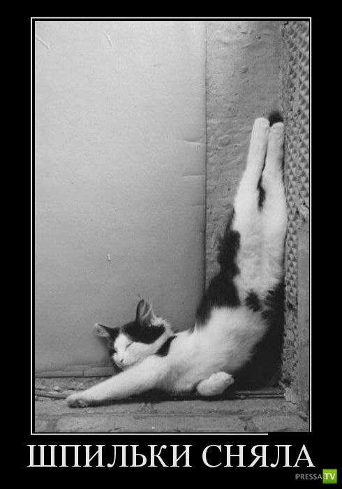 ������������ �� ������ 13 (30 ����)