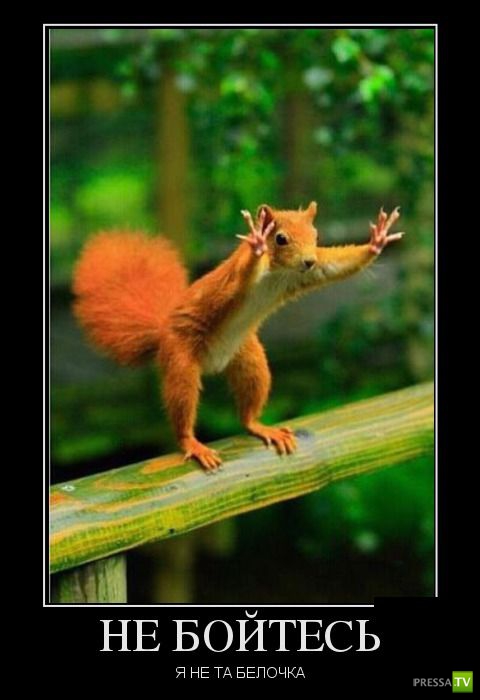 ������������ �� ������ 13 (30 ����)