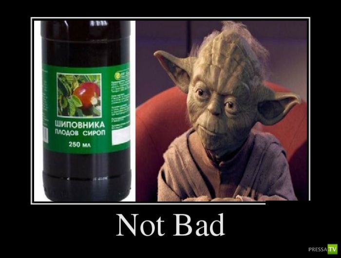 ������������ �� ������ 13 (30 ����)