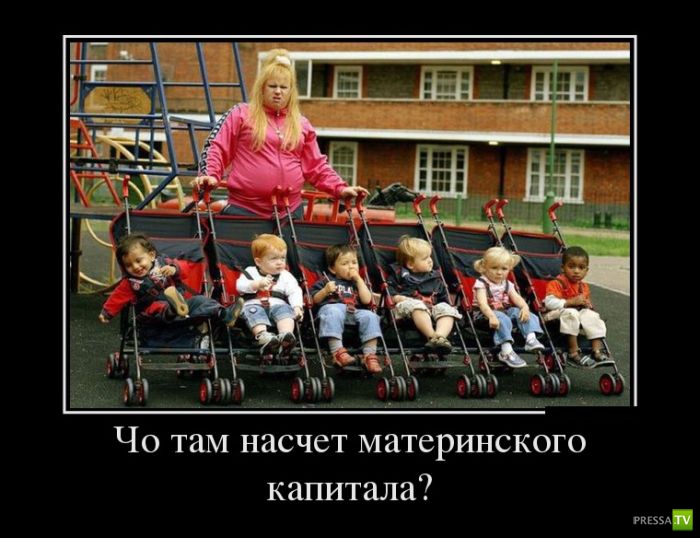 ������������ �� ������ 13 (30 ����)