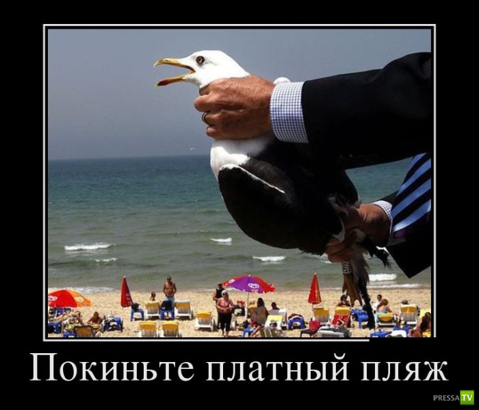 ������������ �� ������ 13 (30 ����)