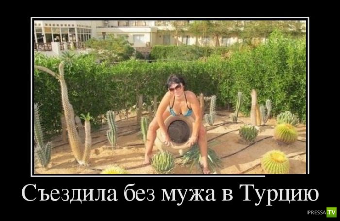 ������������ �� ������ 14 (30 ����)