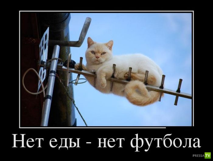 ������������ �� ������ 14 (30 ����)