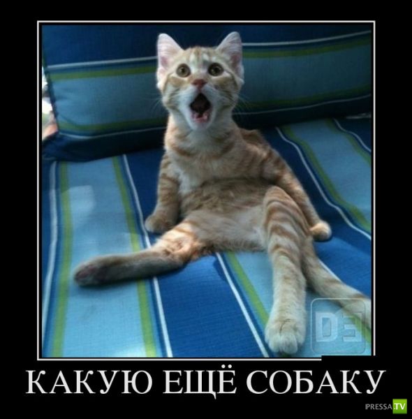 ������������ �� ������ 14 (30 ����)