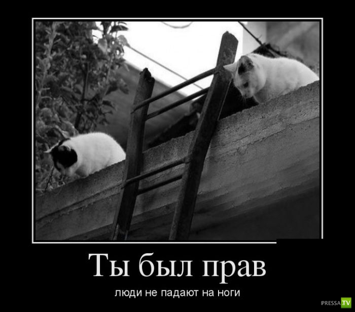 ������������ �� ������ 14 (30 ����)