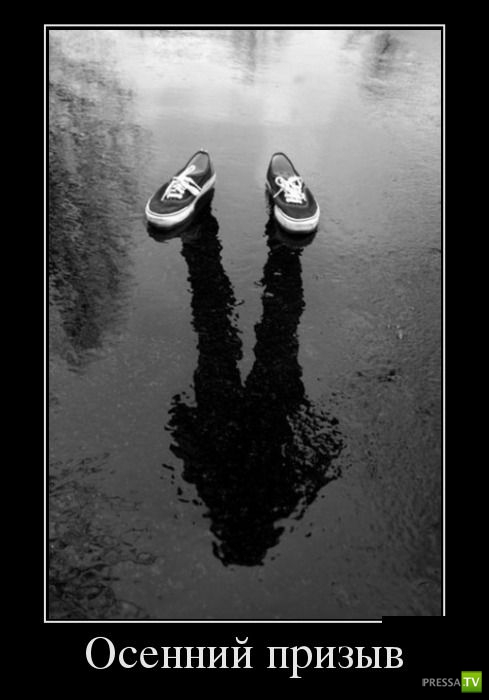 ������������ �� ������ 14 (30 ����)